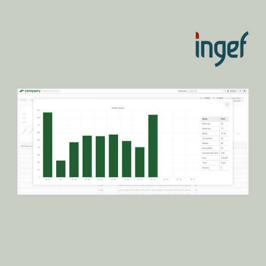 Frontend Conquery / EVA